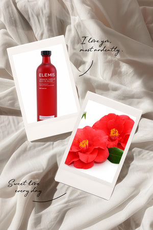 Why We Love Elemis Japanese Camellia Body Oil for Mature Skin in Winter